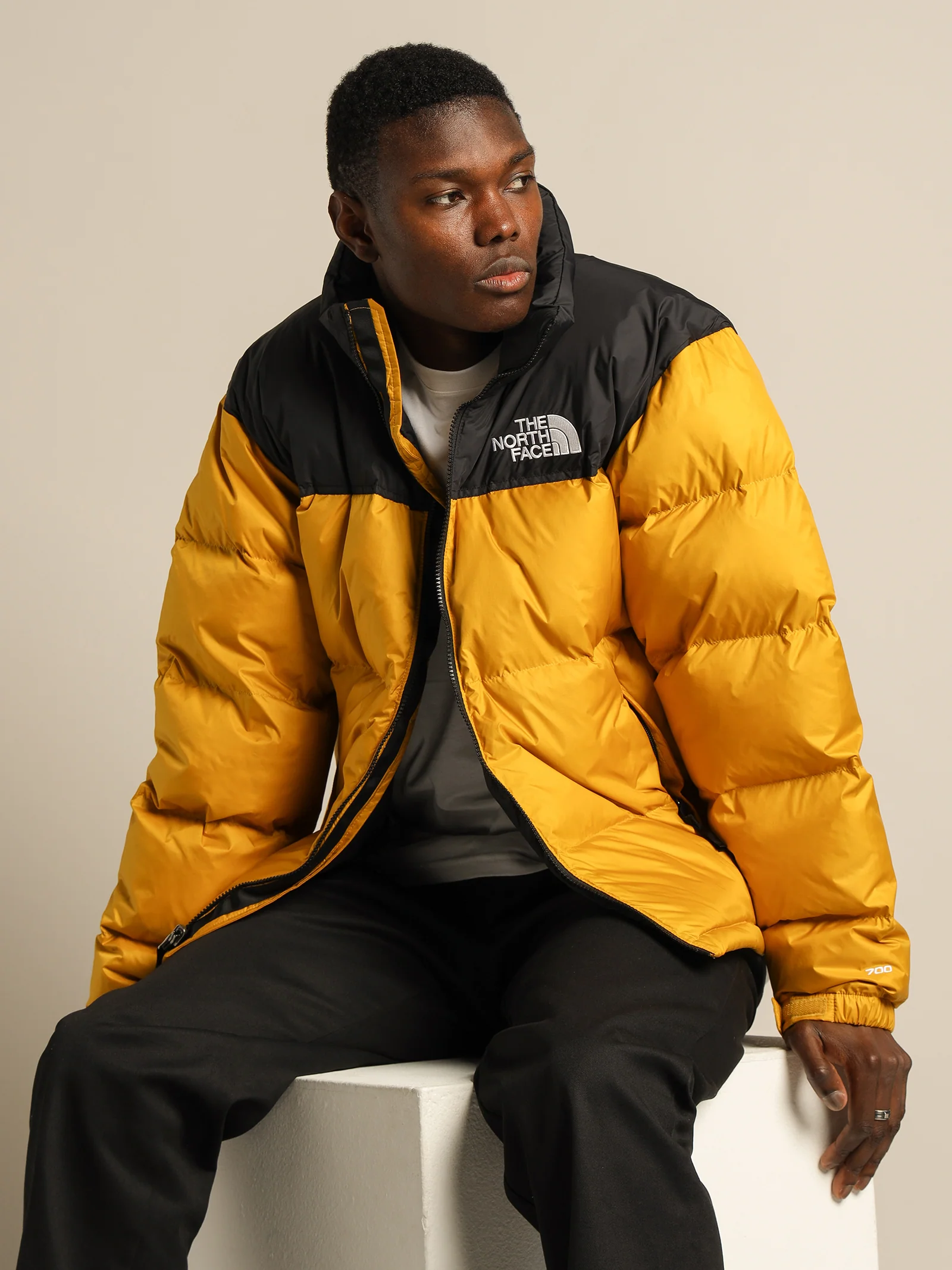 1996 Retro Nuptse Jacket - Image 4