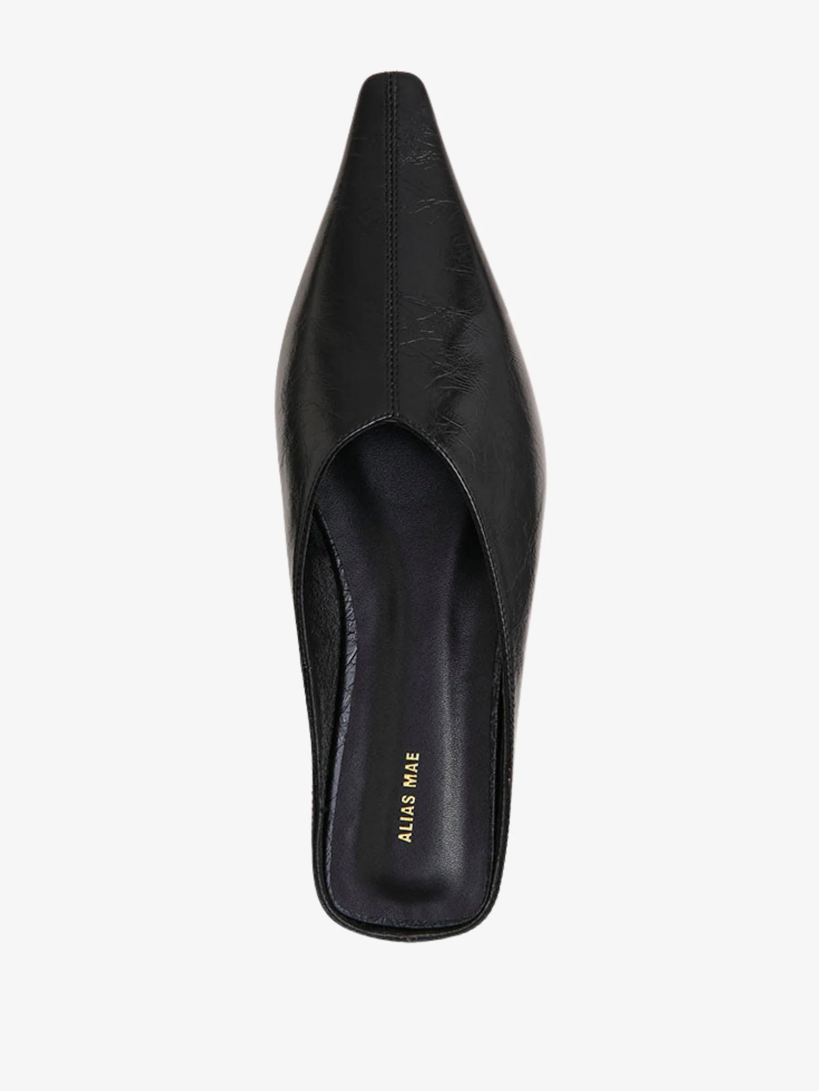 Olive - Image 4