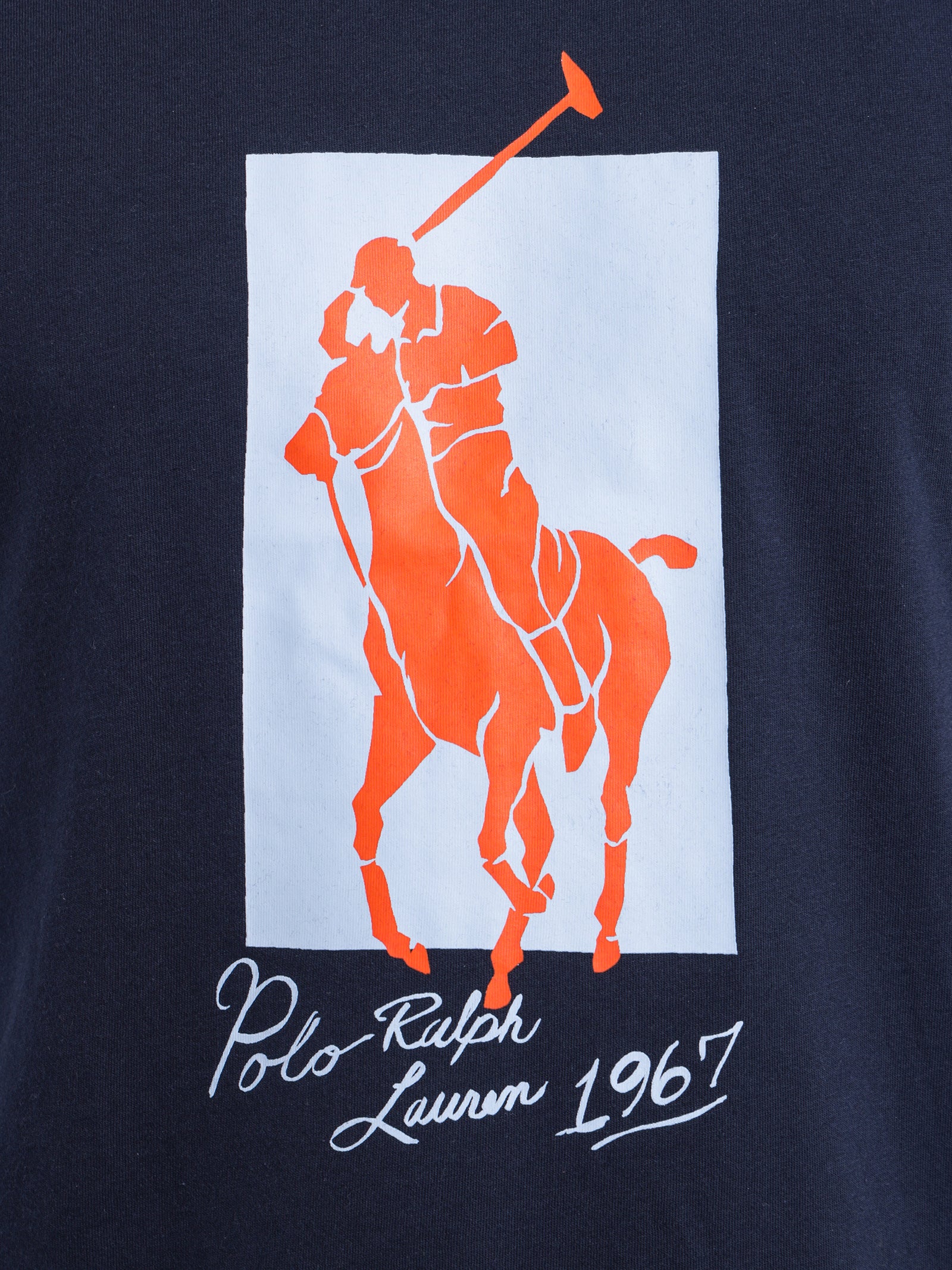 Big Pony Print T-Shirt - Image 5