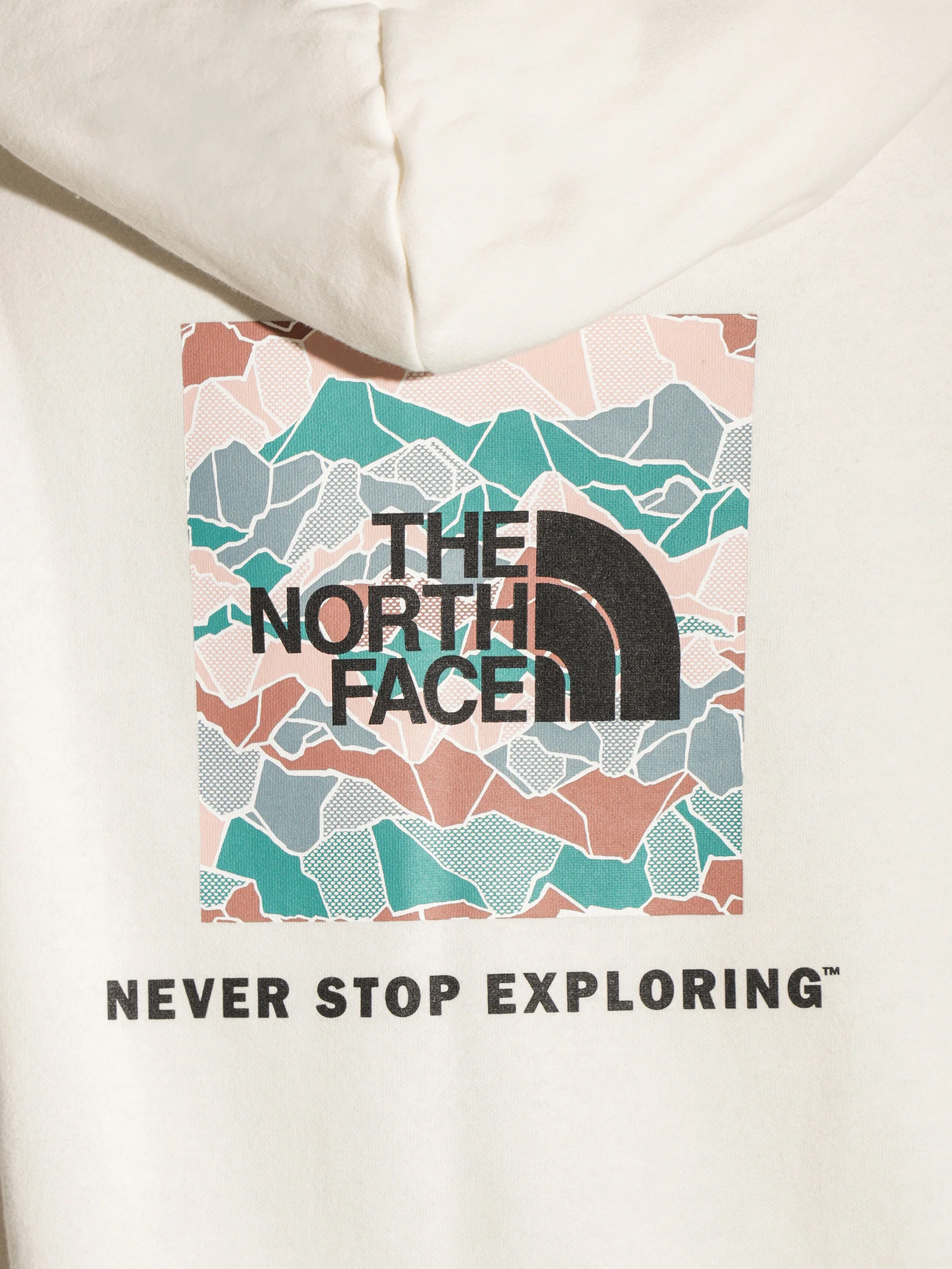 Box NSE Pullover Hoodie - Image 6