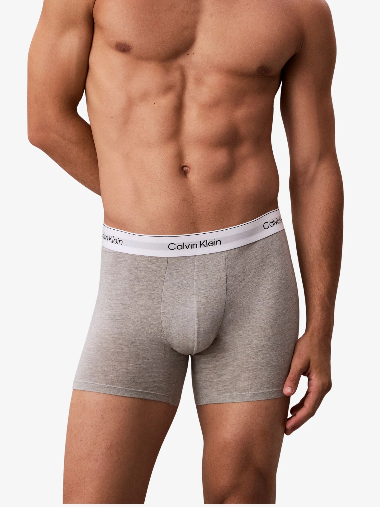 Icon Cotton Stretch Boxer Brief (Mixed 3-Pack) - Image 5