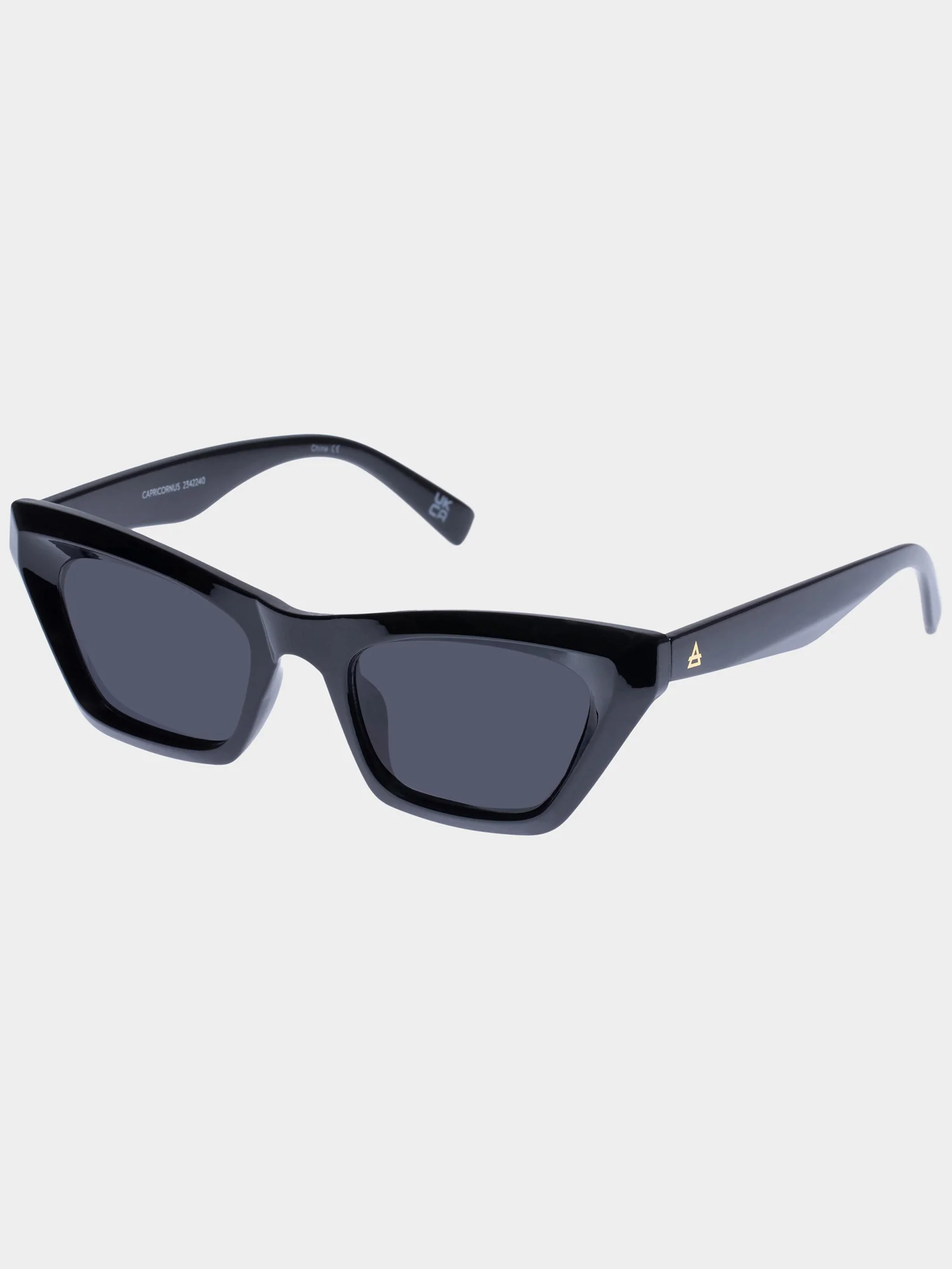 Capricornus Sunglasses - Image 2