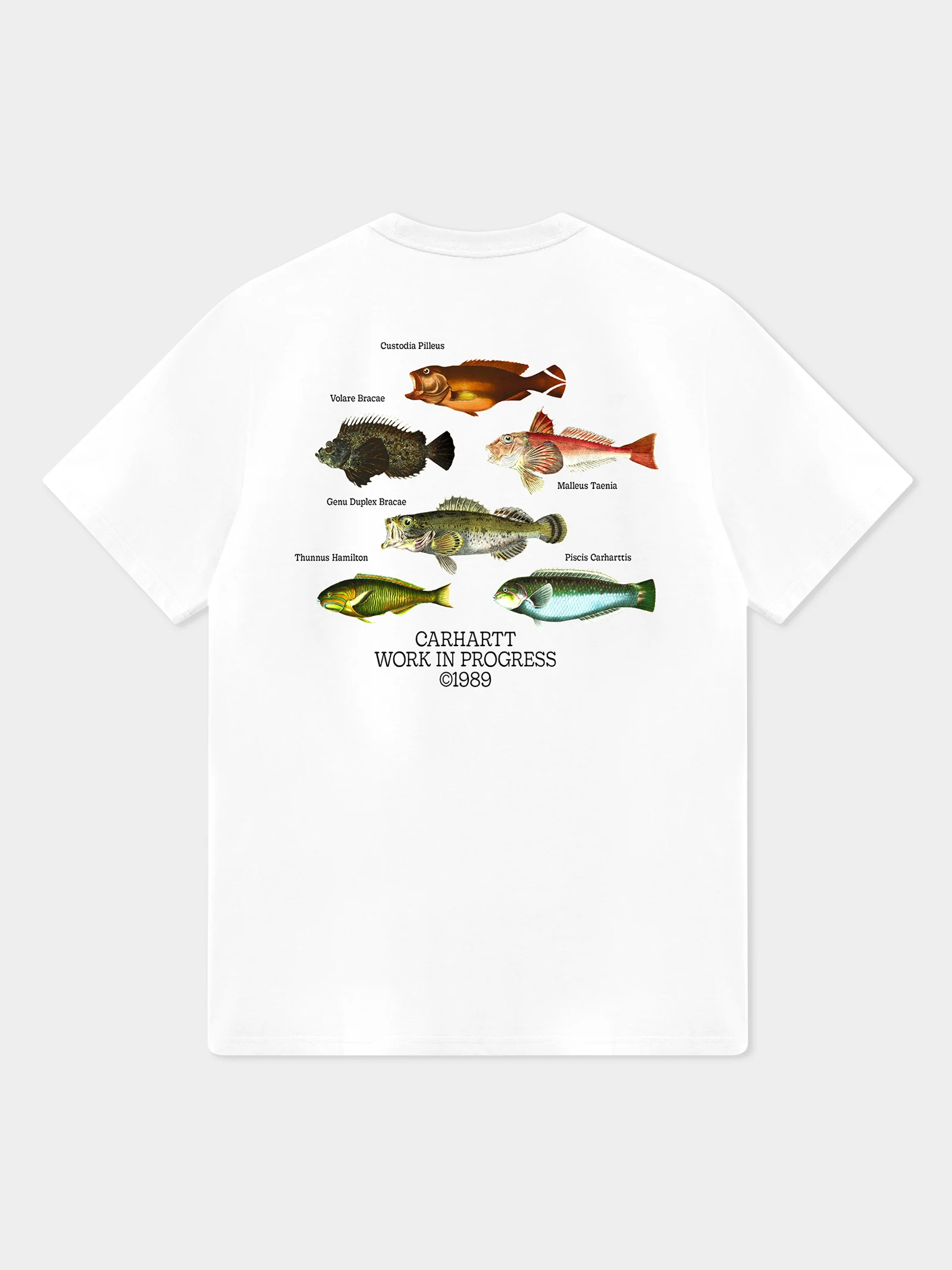 Fish T-Shirt - Image 4