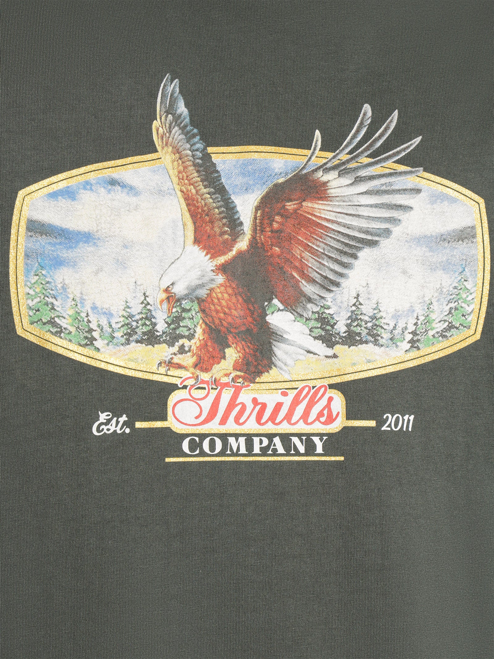 Cassidy Merch Fit T-Shirt - Image 6