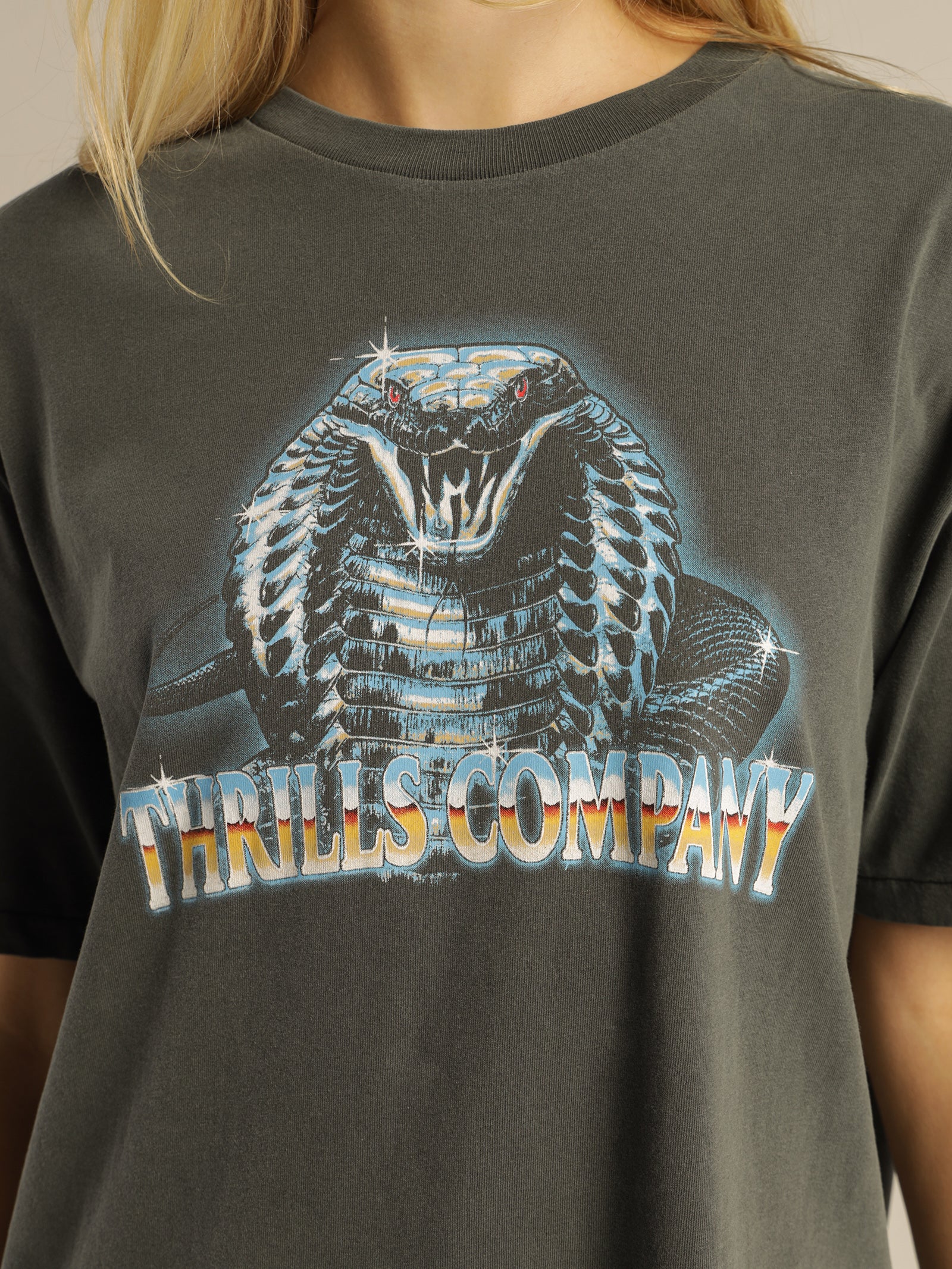 Chrome Cobra Merch Fit T-Shirt - Image 5