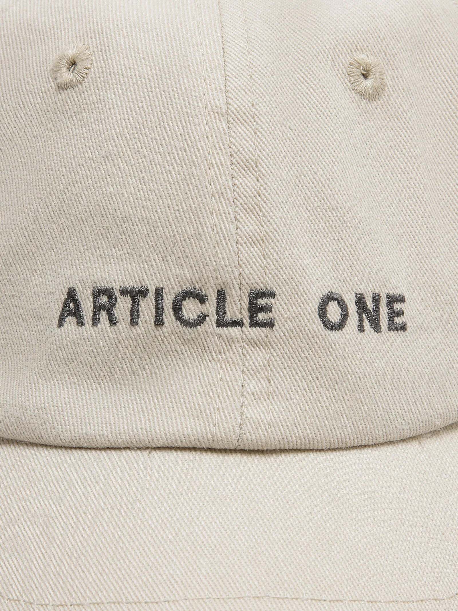 Classic Logo Cap - Image 2