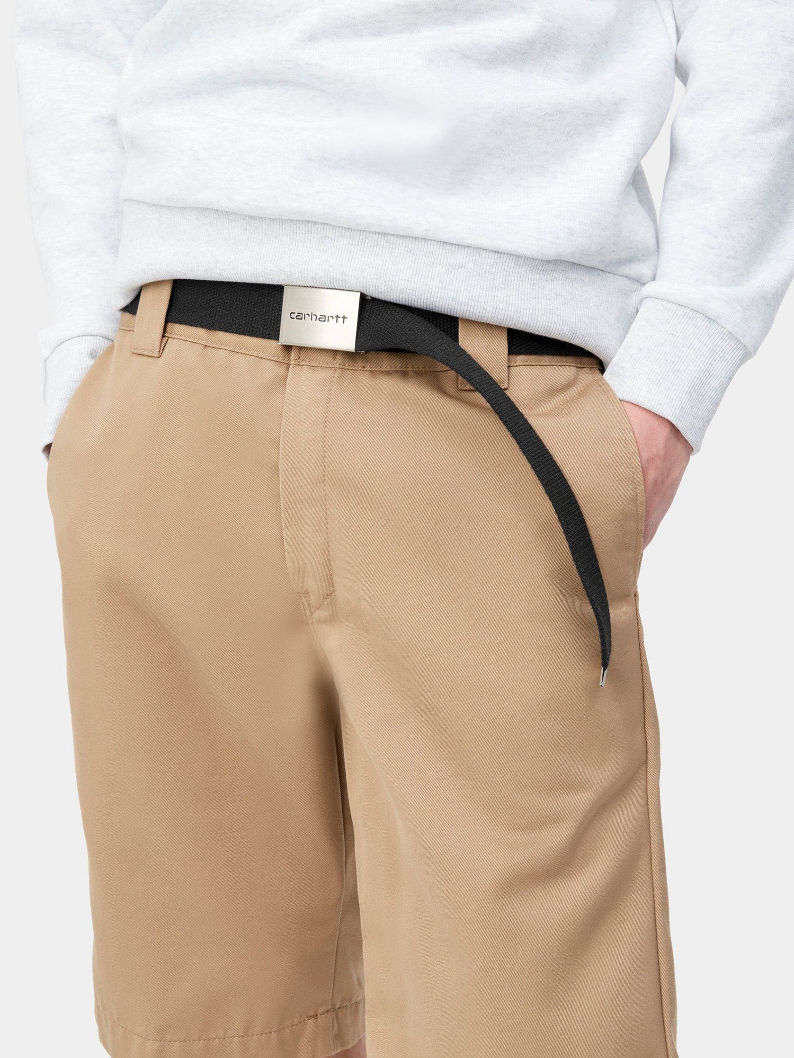 Clip Belt Chrome - Image 5