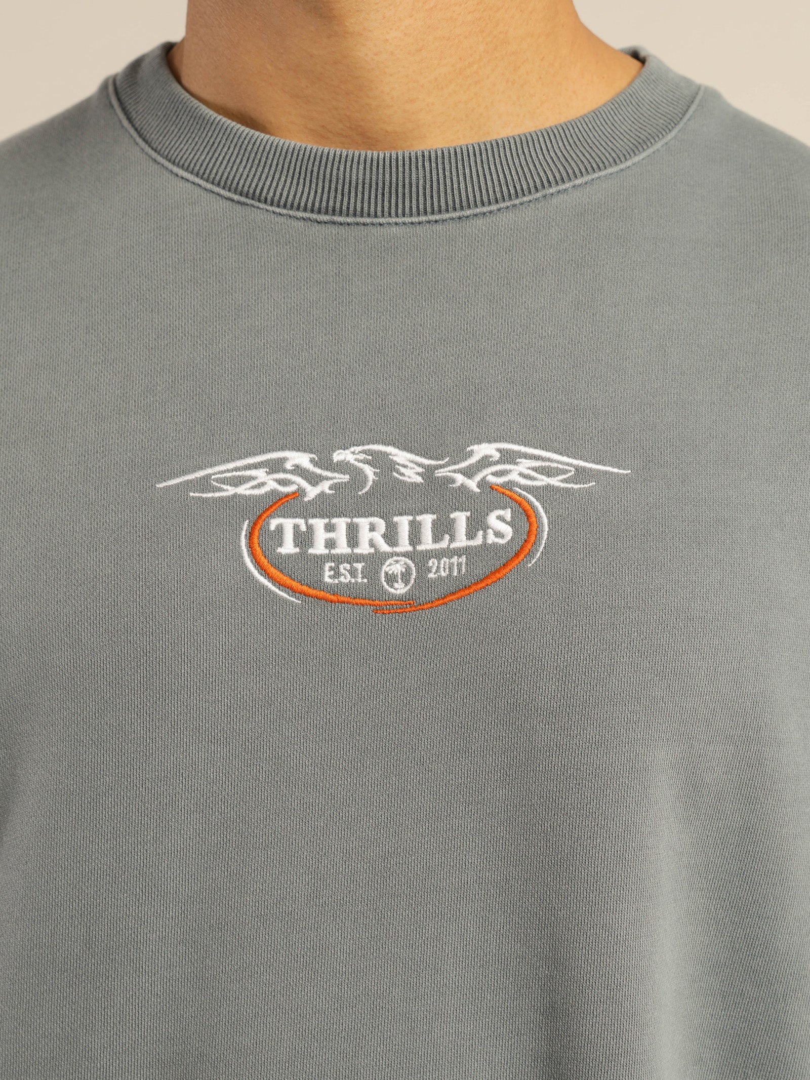Eagle Badge Oversize Crew - Image 5