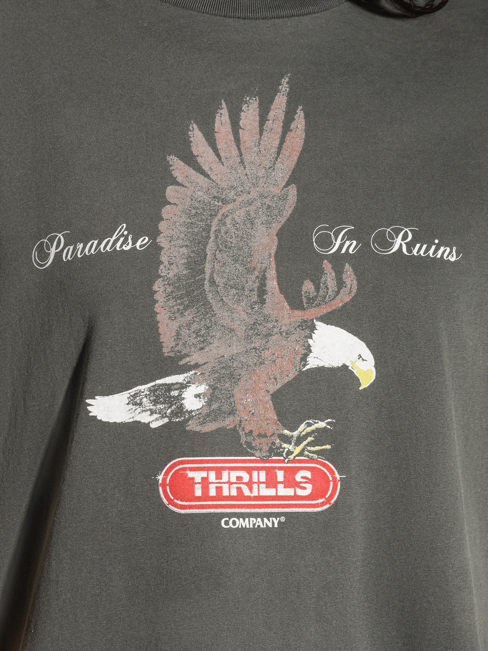 Eternal Flight Merch Fit T-Shirt - Image 4