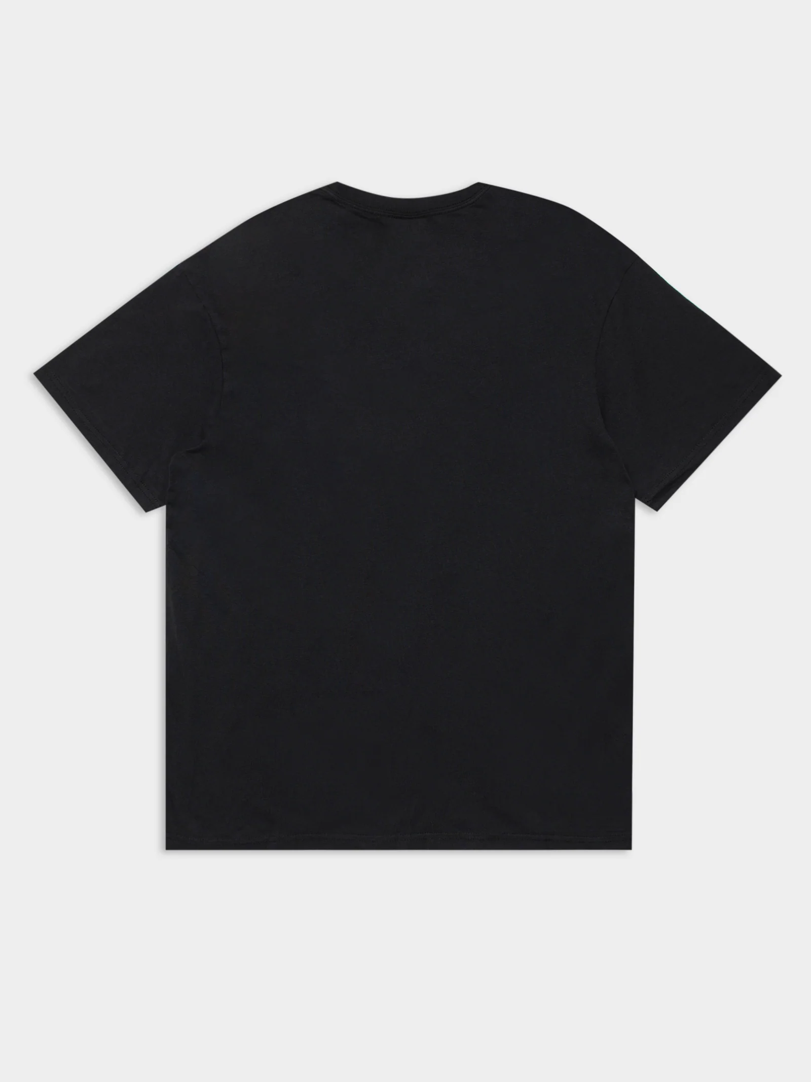 Florida National Champs Graphic T-Shirt - Image 8