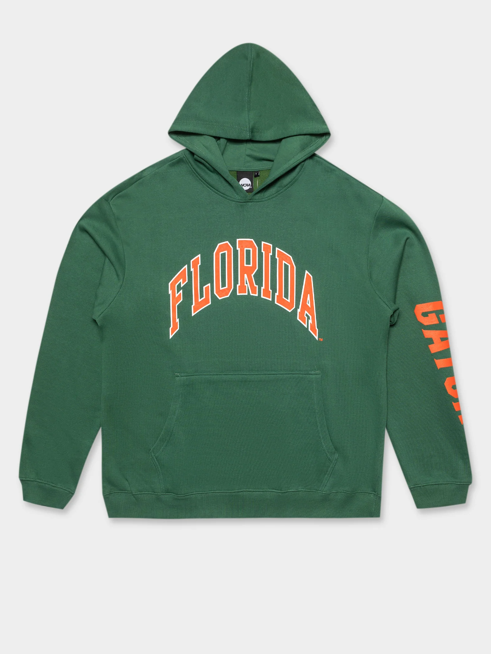 Florida NCAA Arched Puff Print Hoodie