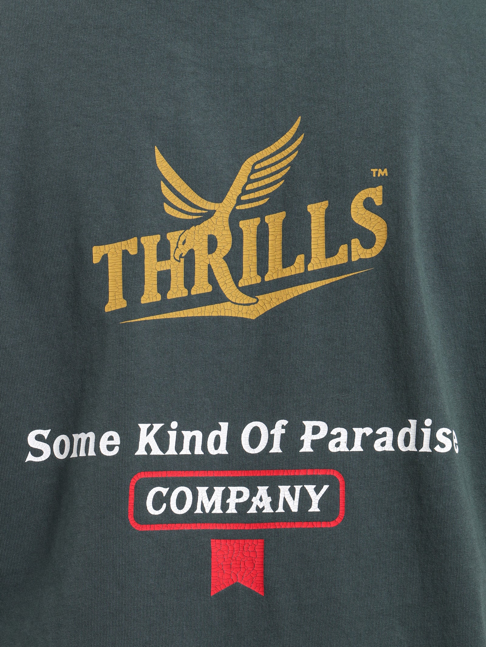 Golden Paradise Merch Fit T-Shirt - Image 6