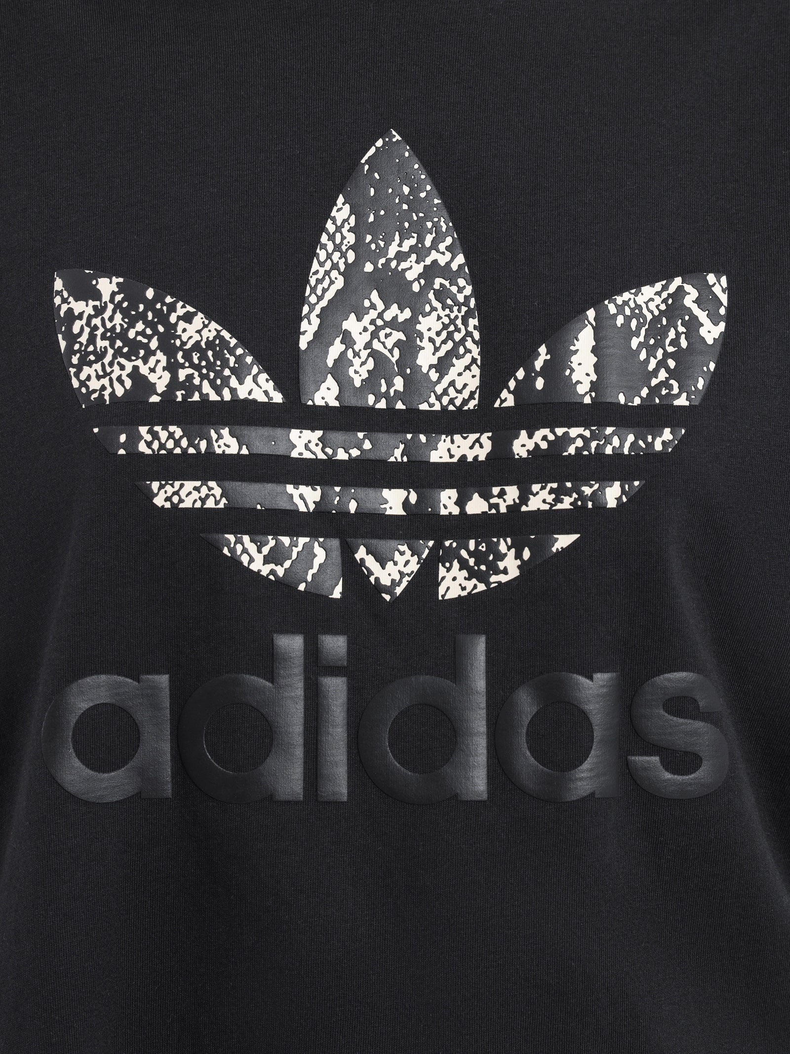 Graphic T-Shirt - Image 4