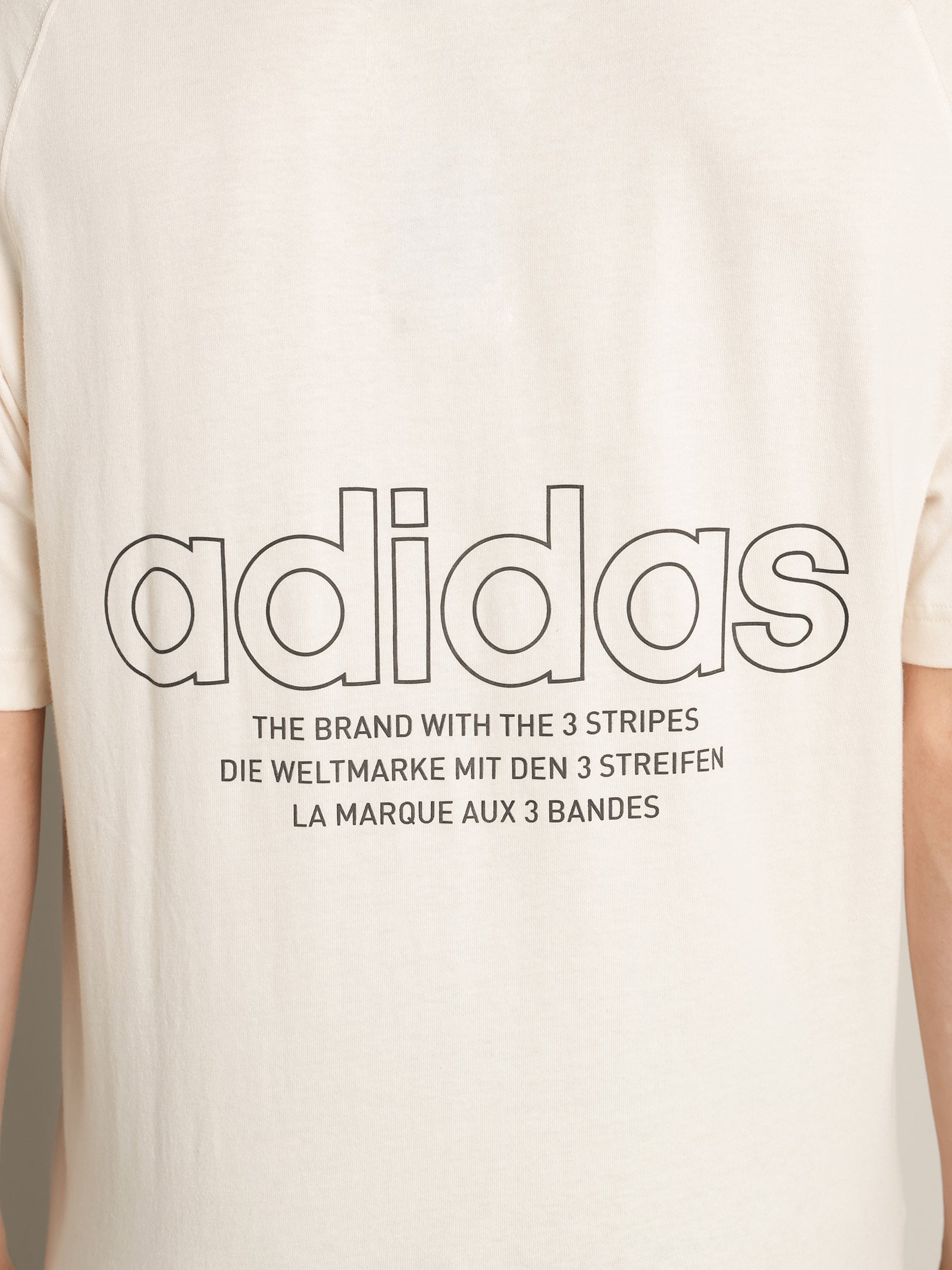 Graphics Tricolor T-Shirt - Image 6