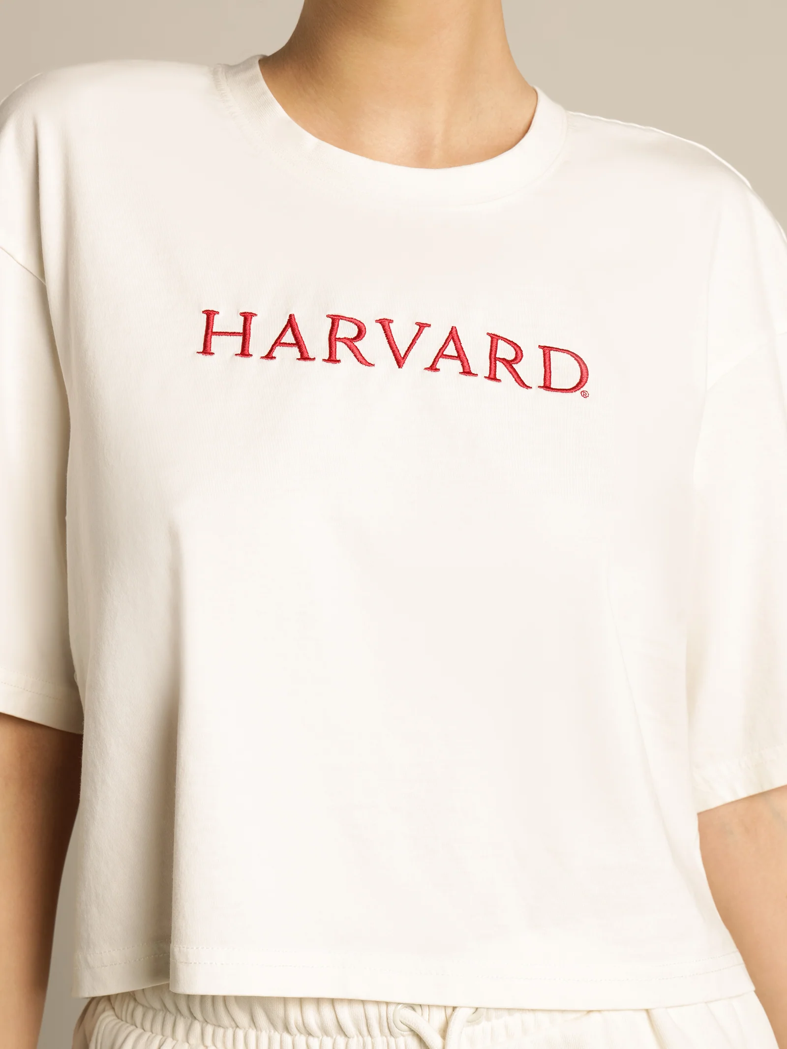 Harvard Primary Logo T-Shirt - Image 3