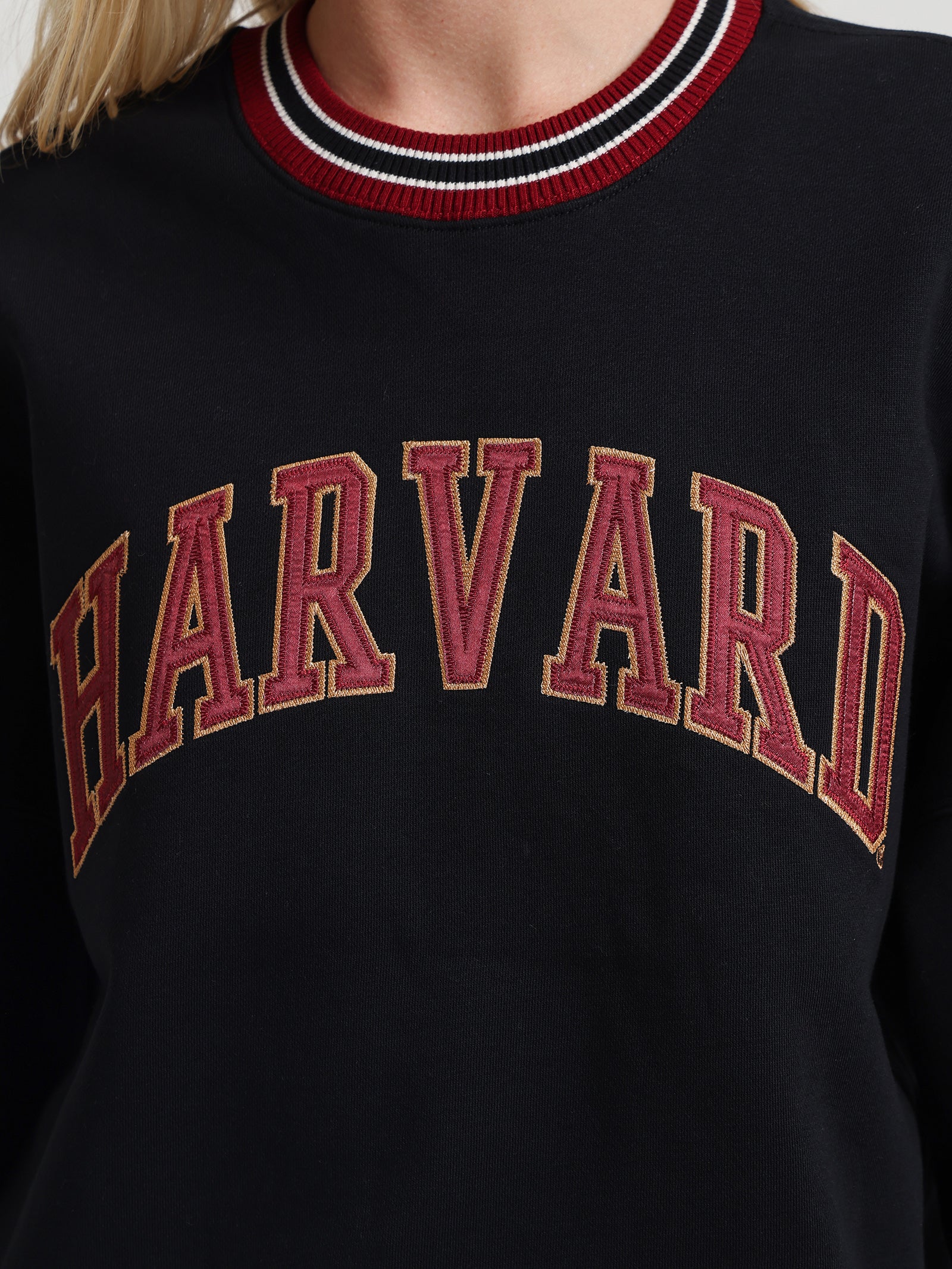 Harvard Trim Crew Neck Sweater - Image 3