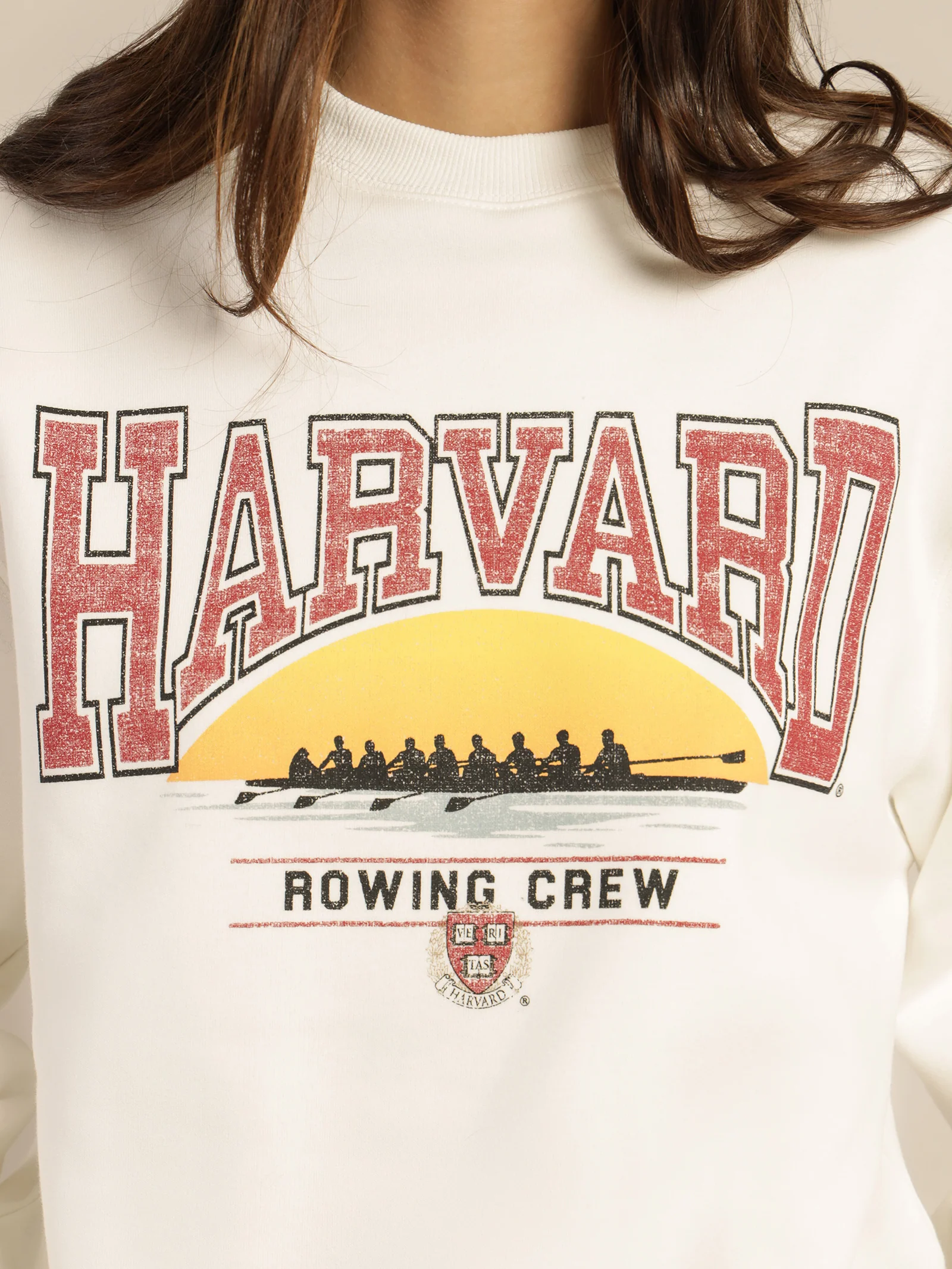 Harvard Vintage Sunset Crew Sweater - Image 5