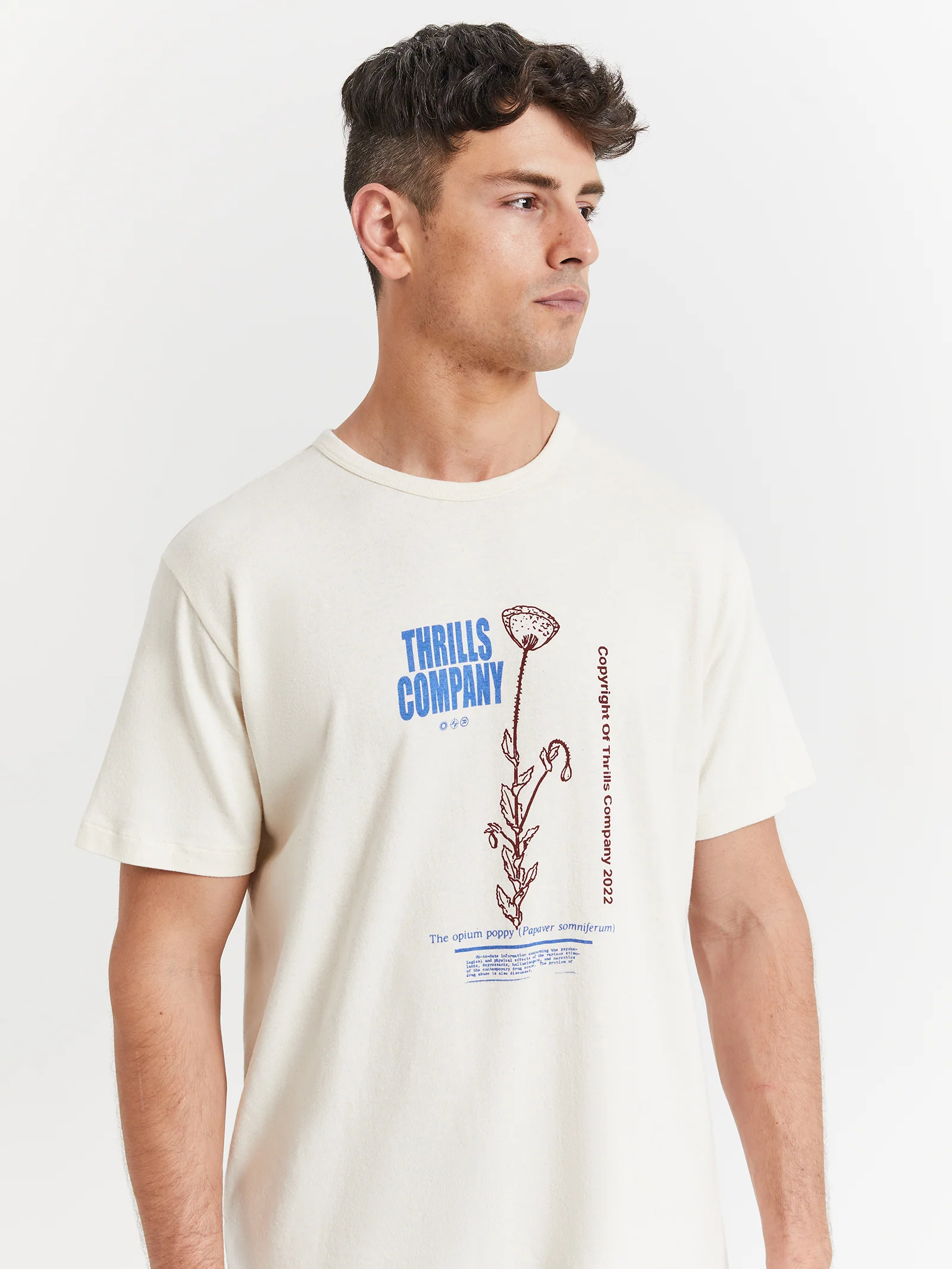 Hemp Natural Effects Merch Fit T-Shirt - Image 3