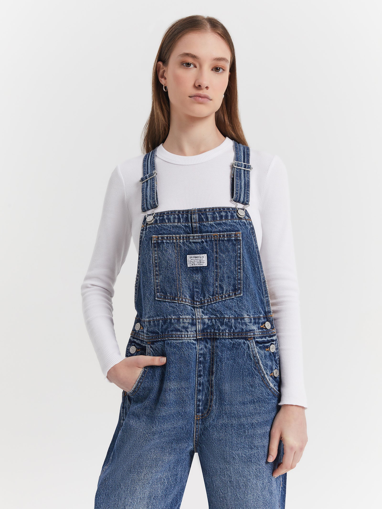 Vintage Overalls - Image 3