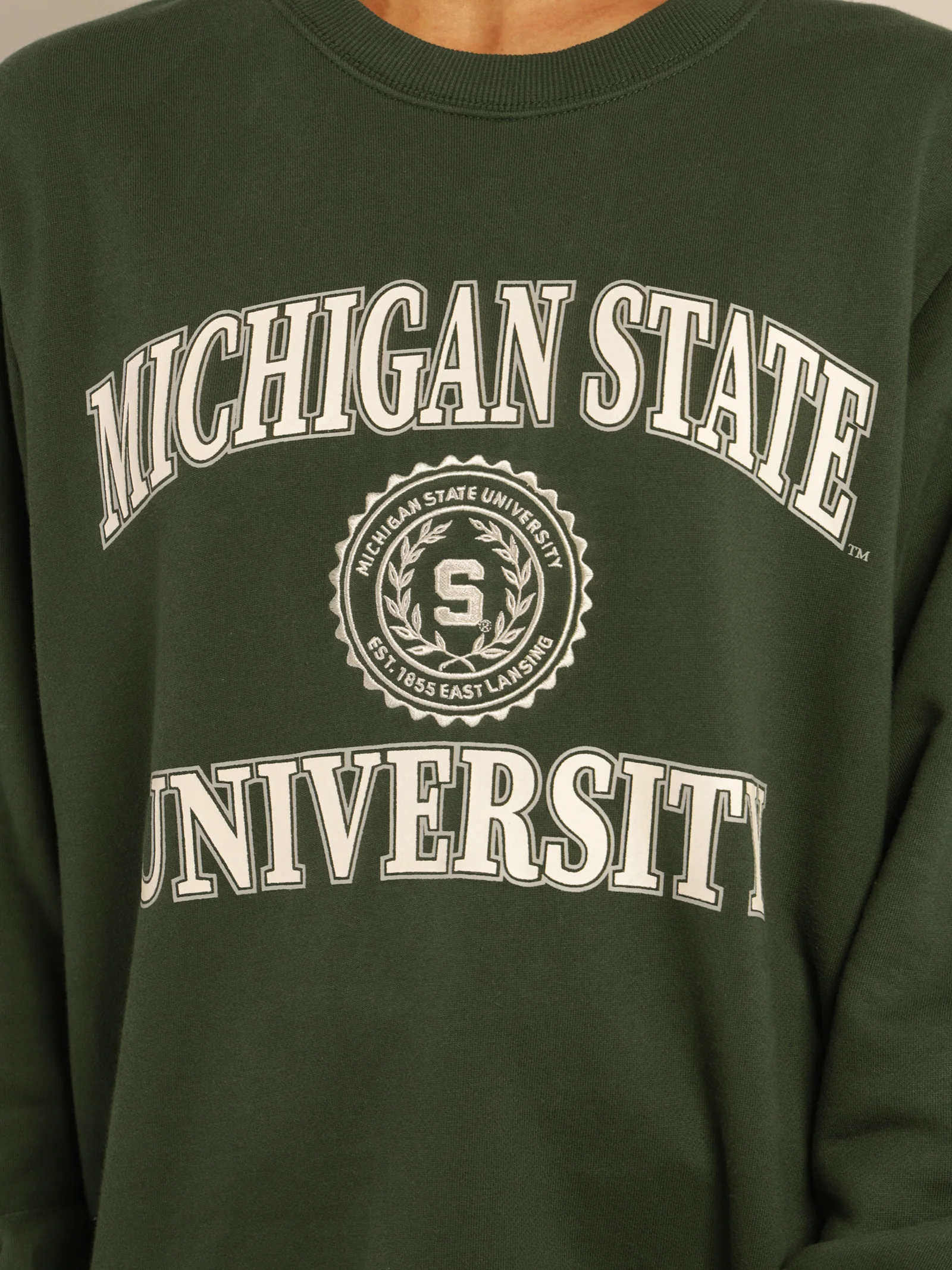 Michigan State Vintage Reef Logo Crew - Image 3