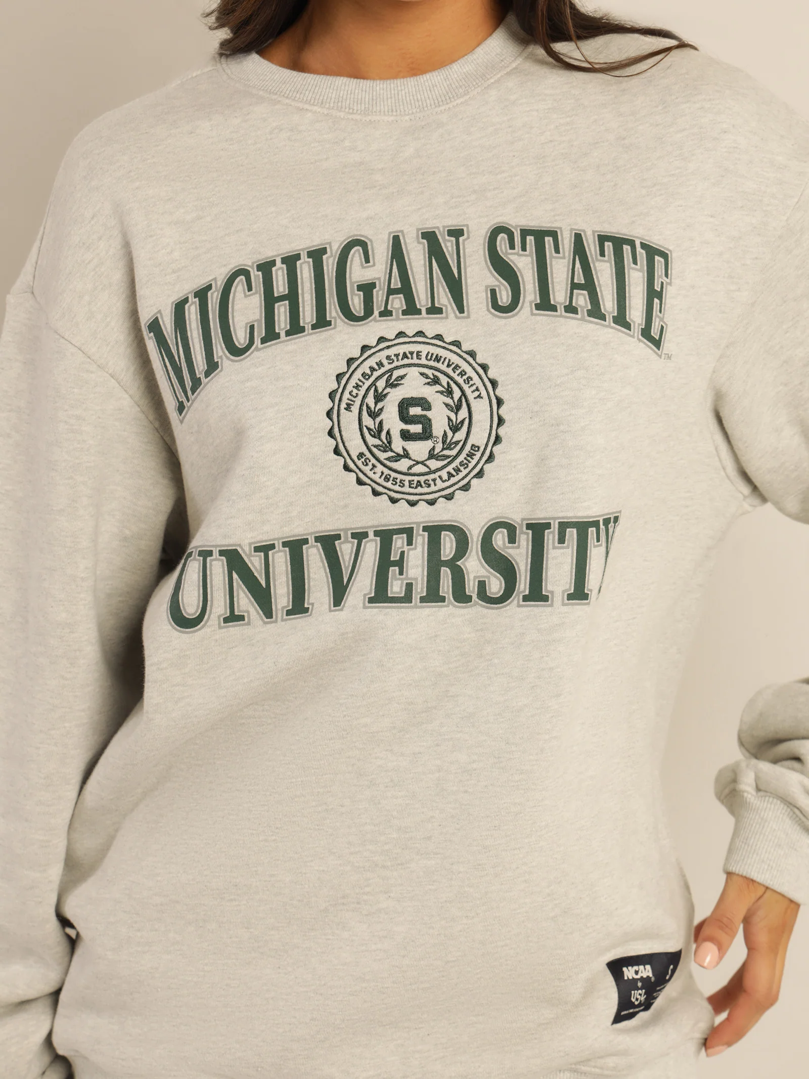 Michigan State Vintage Reef Logo Sweater - Image 3