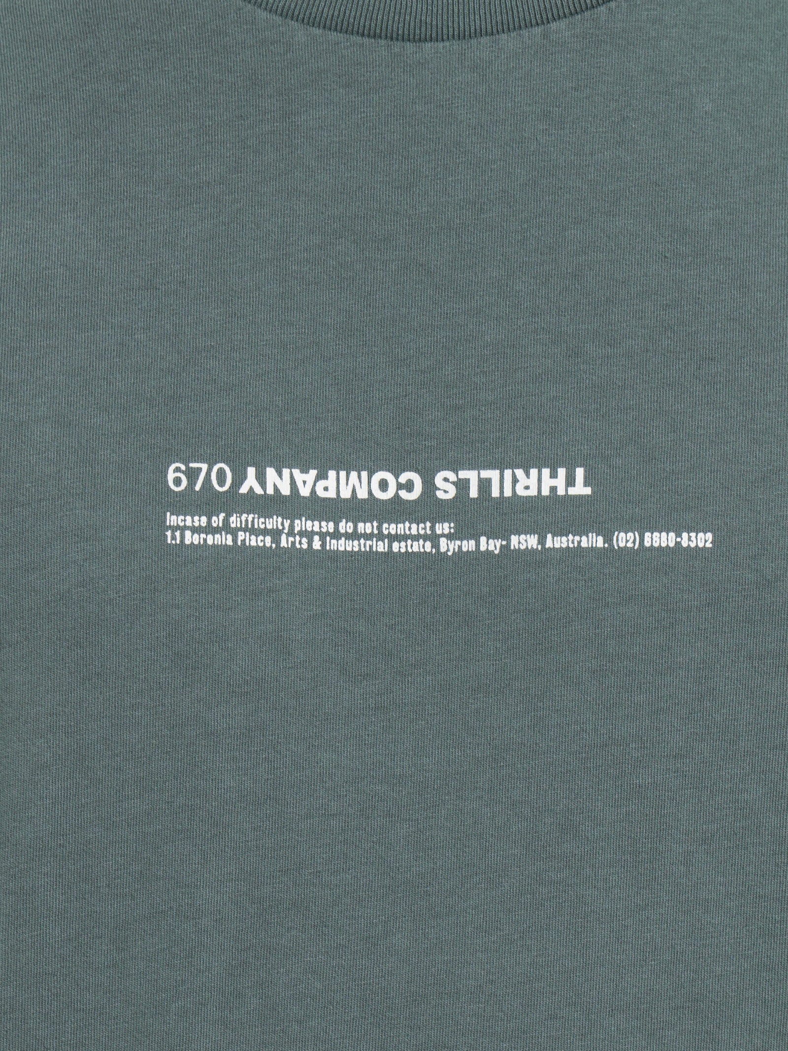Narcissus Merch Fit T-Shirt - Image 5