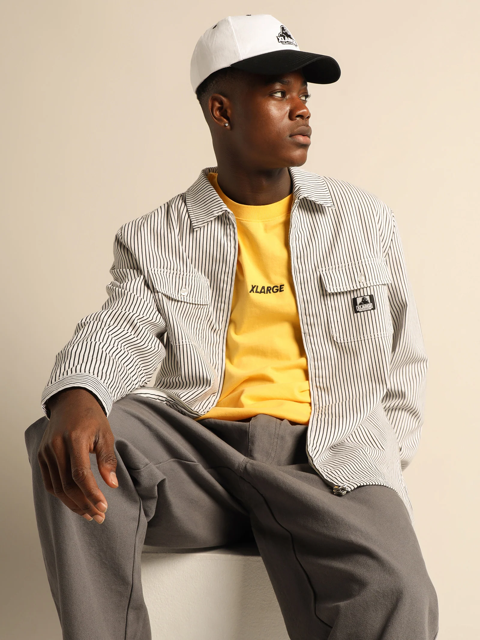 Pinstripe Long Sleeve Zip Shirt - Image 4