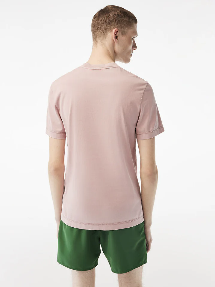 Plain Organic Cotton T-Shirt - Image 4