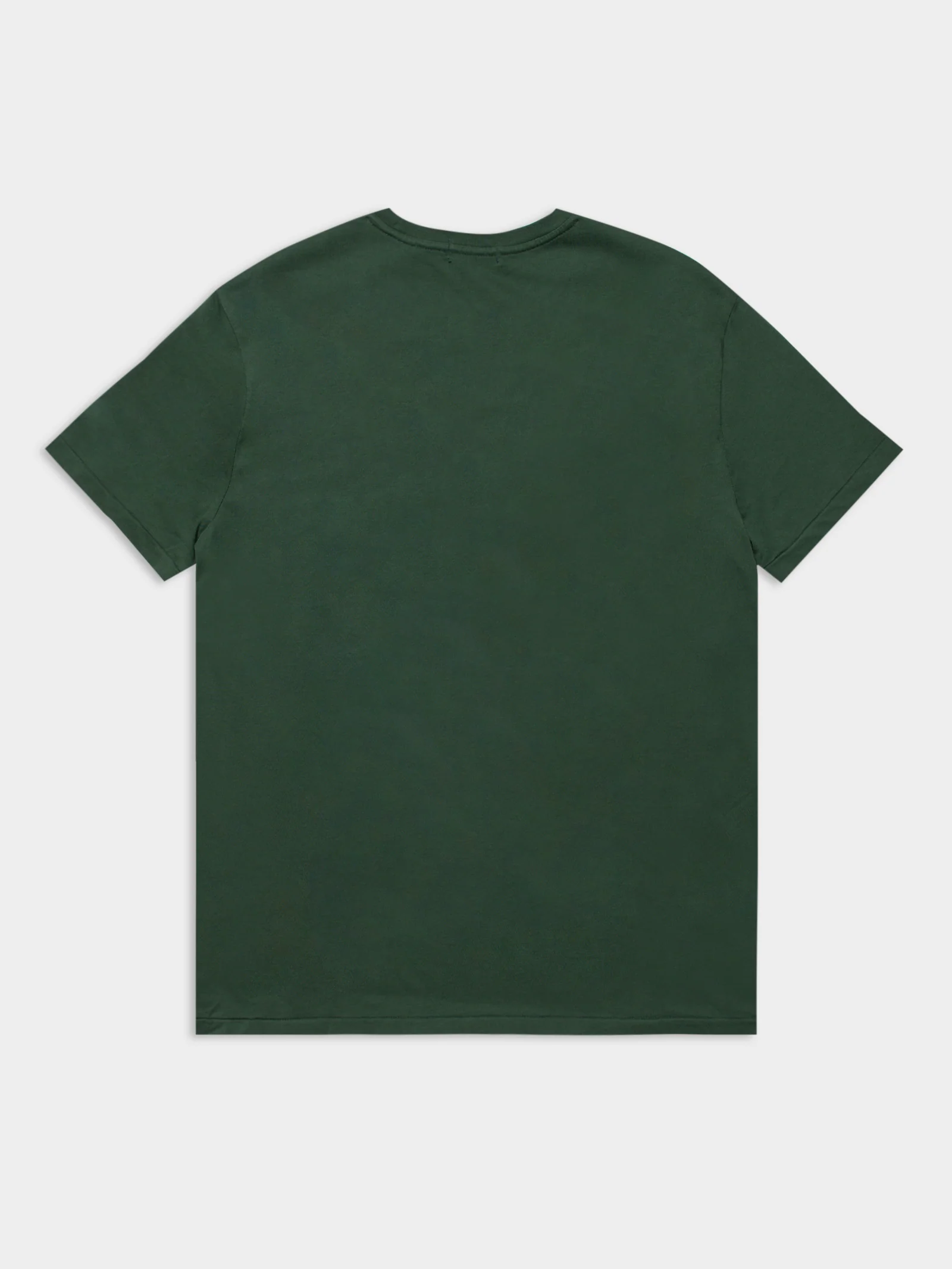Polo Bear T-Shirt - Image 8