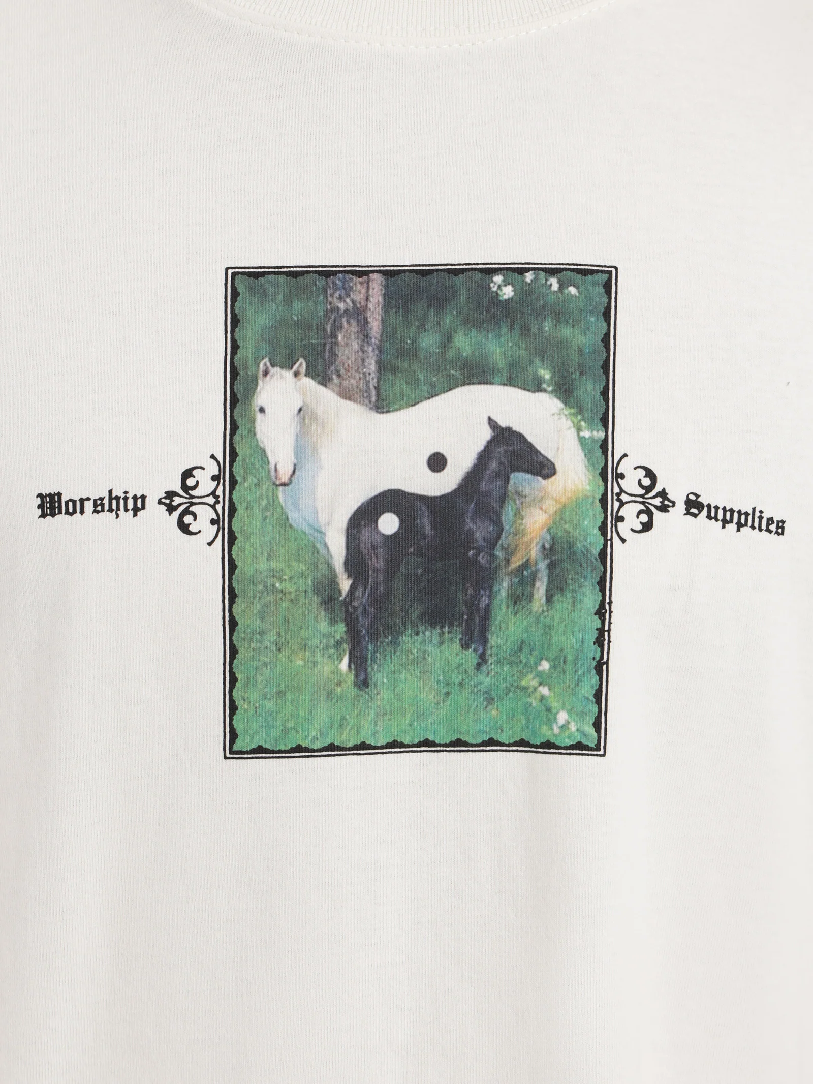 Pony Boy T-Shirt - Image 5