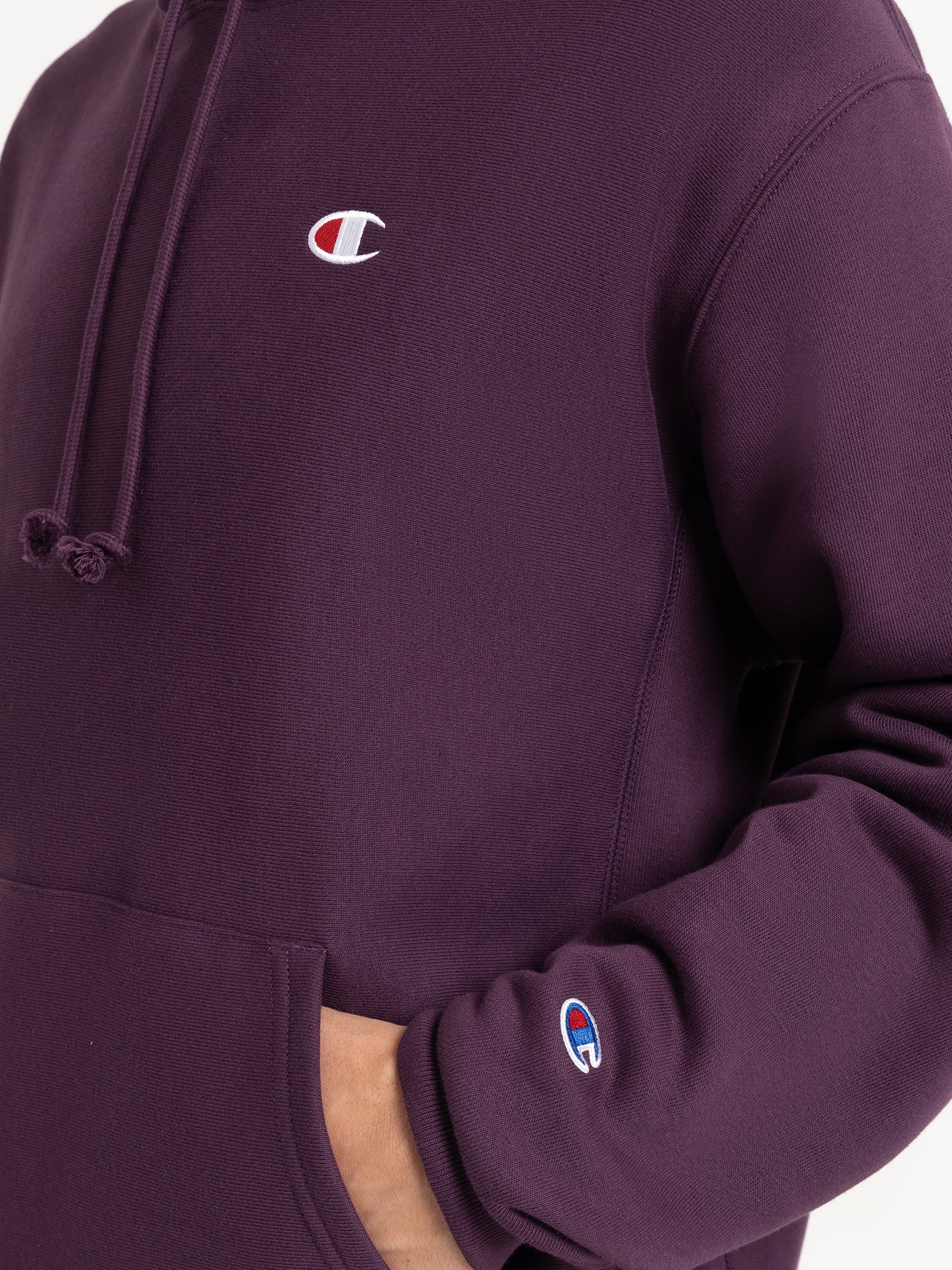 Reverse Weave Hoodie - Image 3