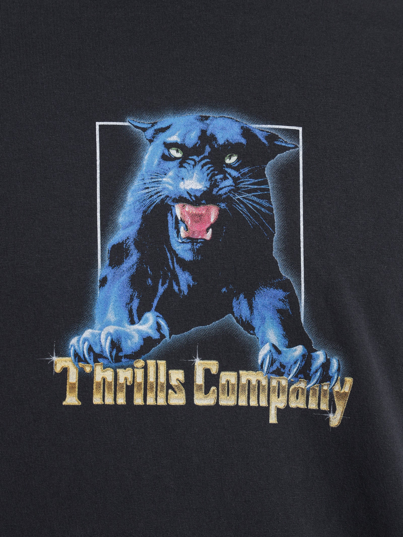 Sanctuary Merch T-Shirt - Image 5