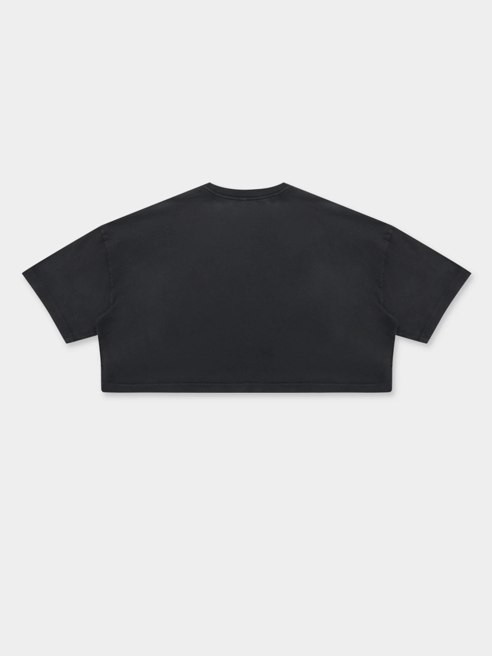 Sunbleached Champs Crop Boyfriend T-Shirt - Image 8