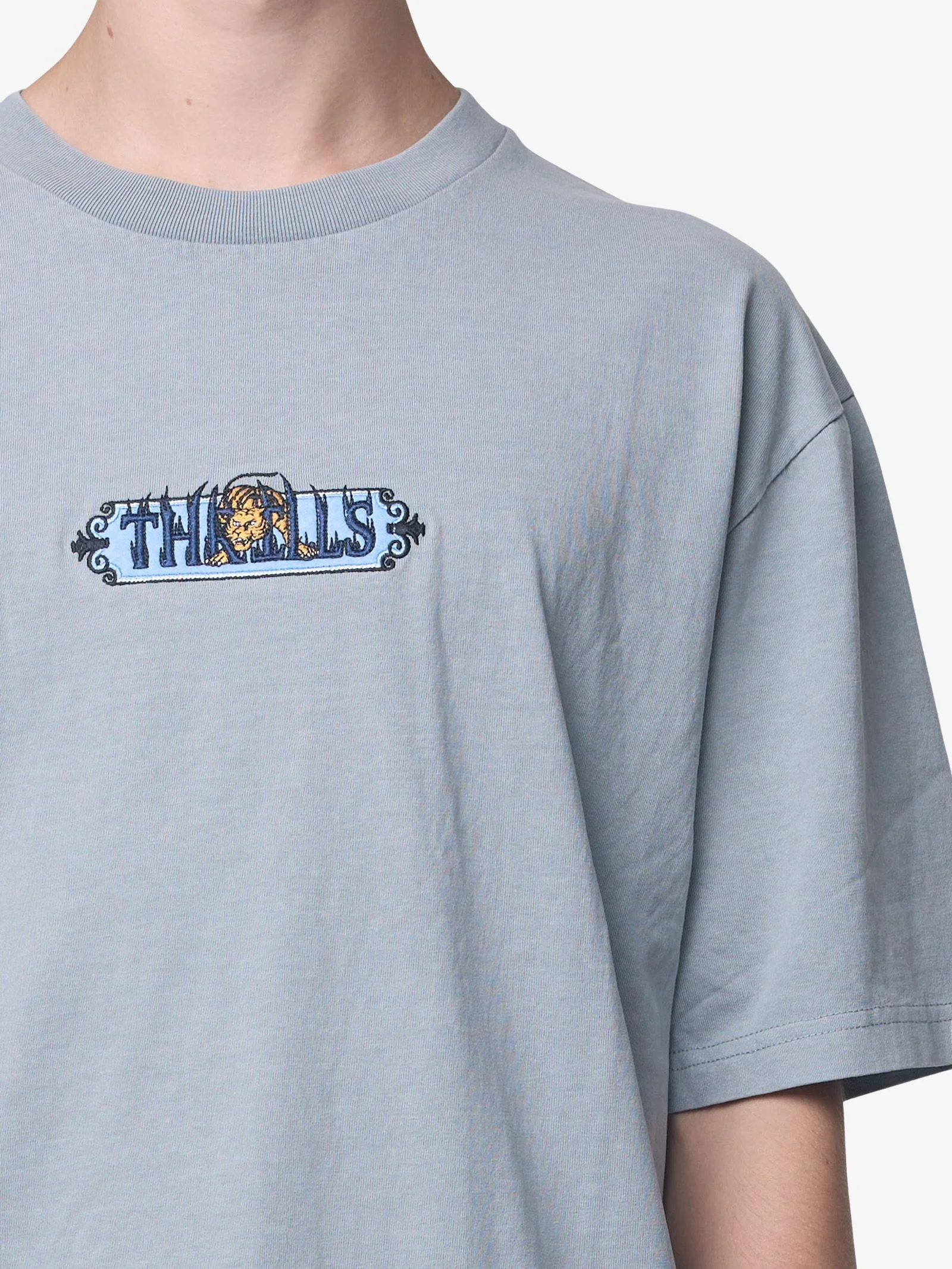 Eyes In The Grass Oversize Tee - Image 4