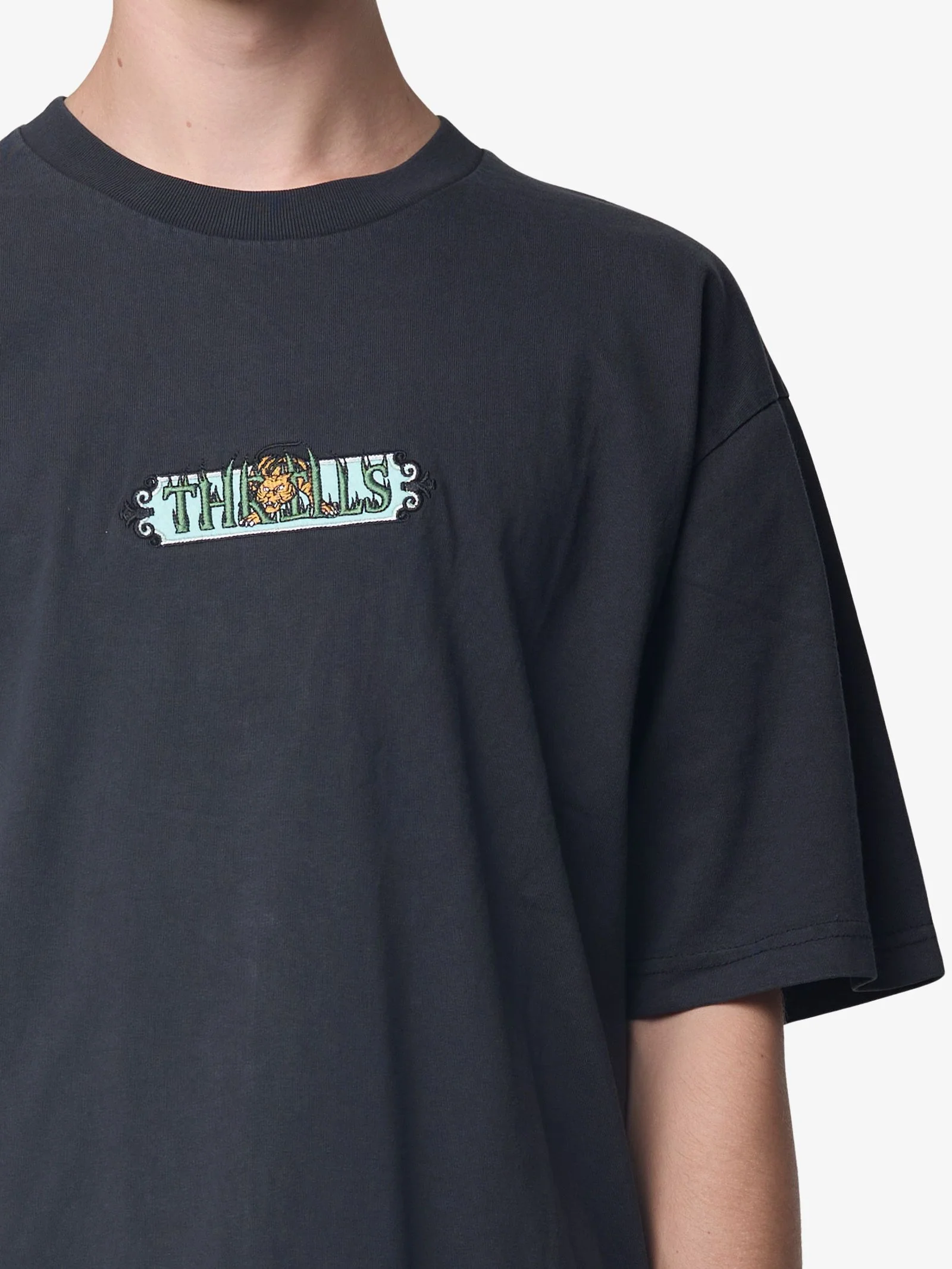 Eyes In The Grass Oversize Tee - Image 2