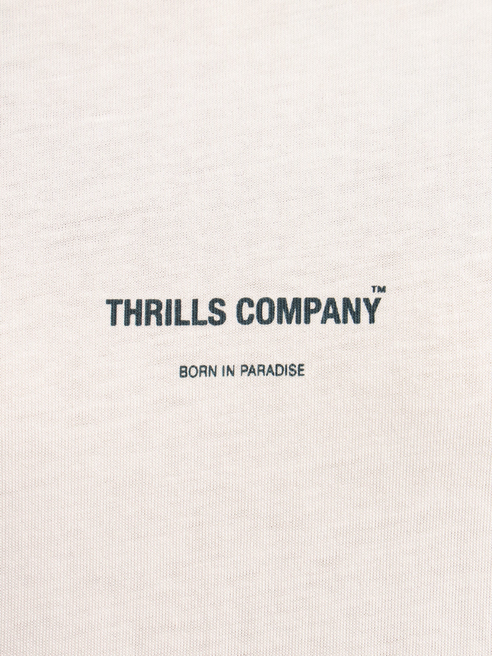 Thrills Stamp Merch Fit T-Shirt - Image 5