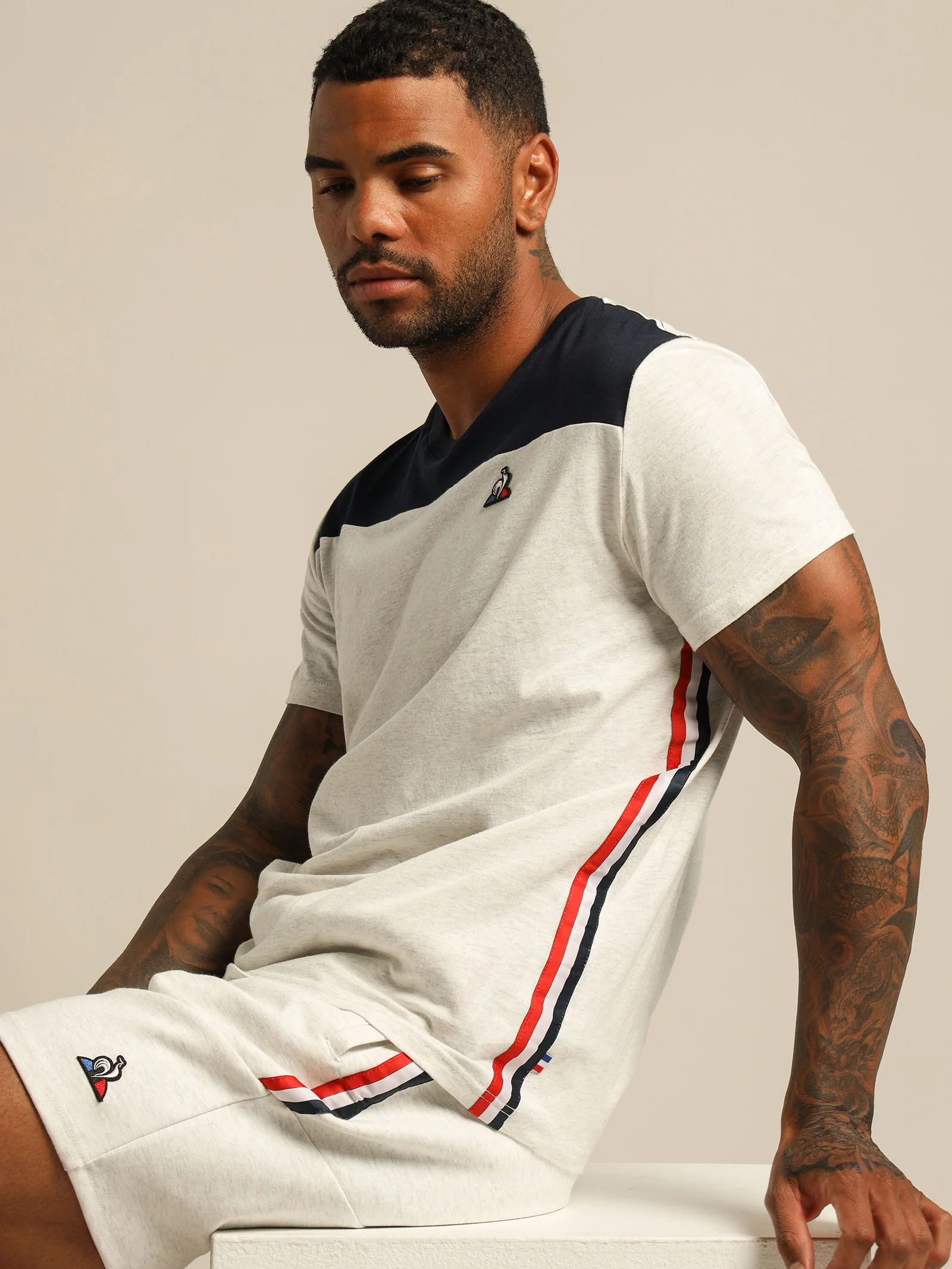 Tricolore Chevron Shorts - Image 2