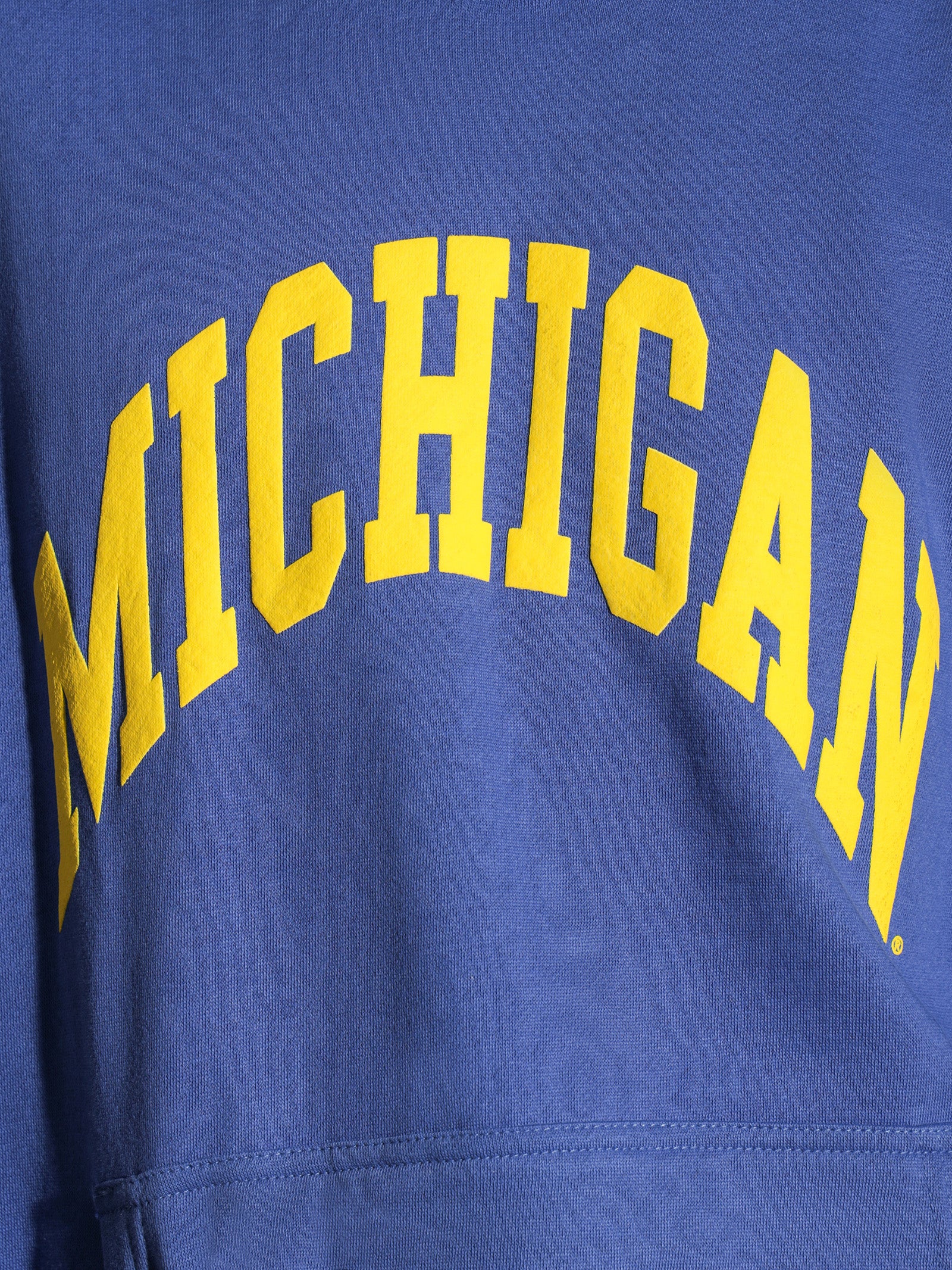 University Of Michigan Puff Print Pullover Hoodie - Image 4