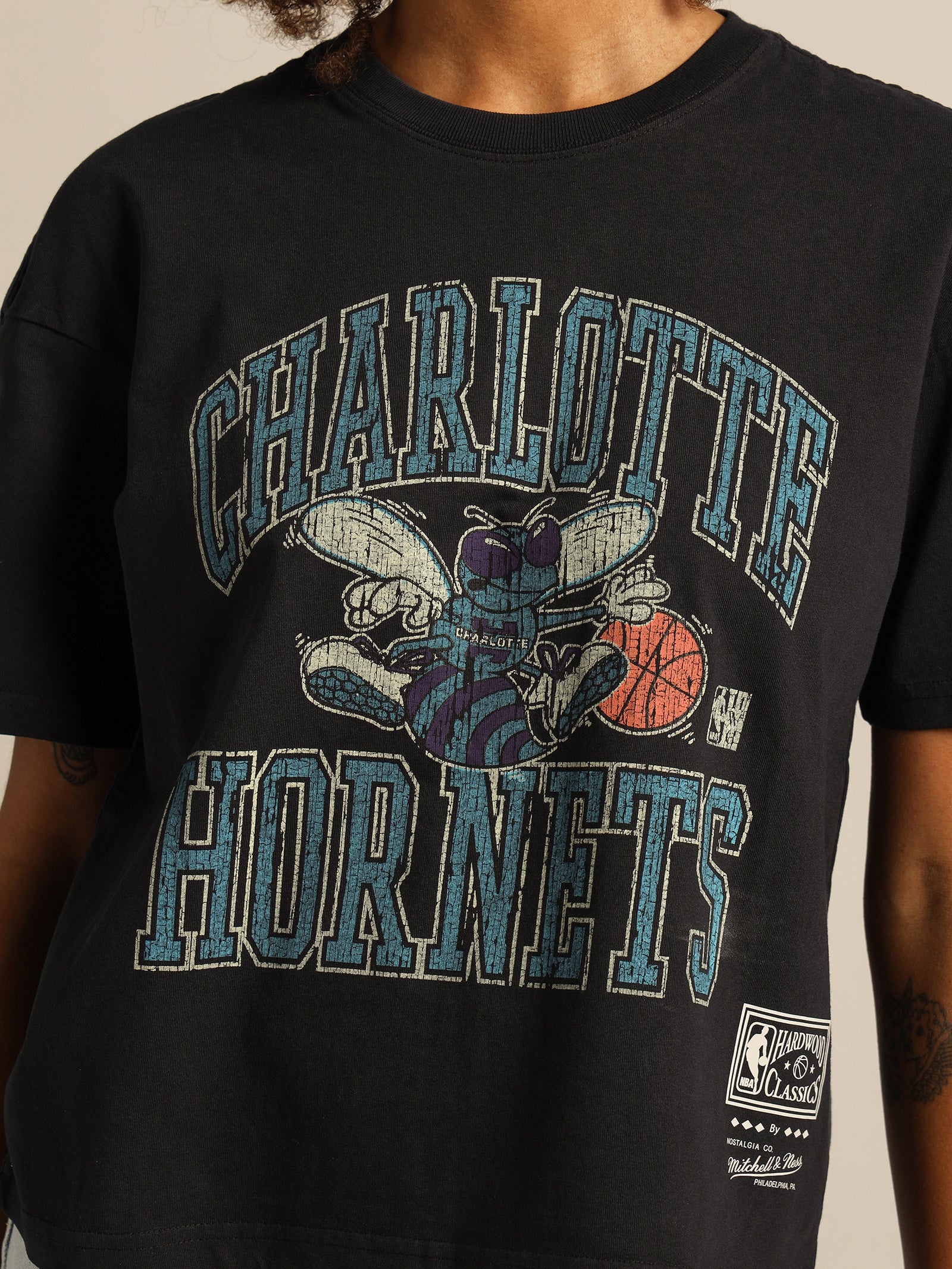 Vintage Charlotte Hornets Ivy Arch T-Shirt - Image 6