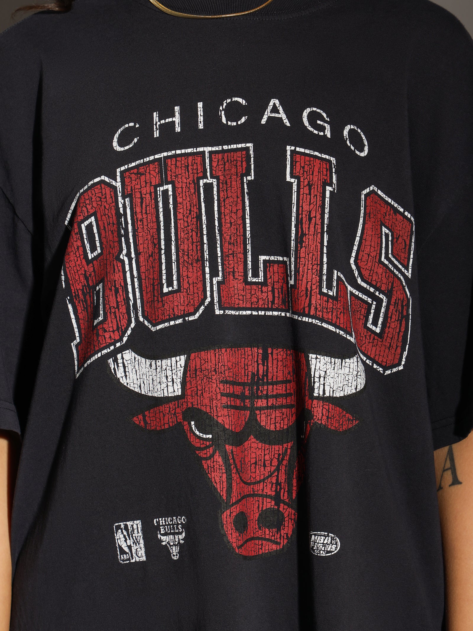 XL Arch Bulls T-Shirt - Image 3
